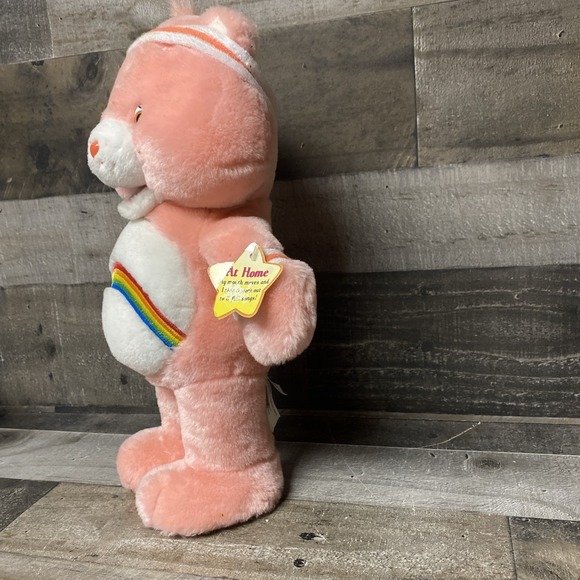 2004 Care Bears Singing Dancing Cheer Bear Let's Get Physical Exercise Workout - Picture 4 of 11